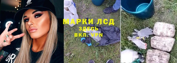 мяу мяу мука Арсеньев