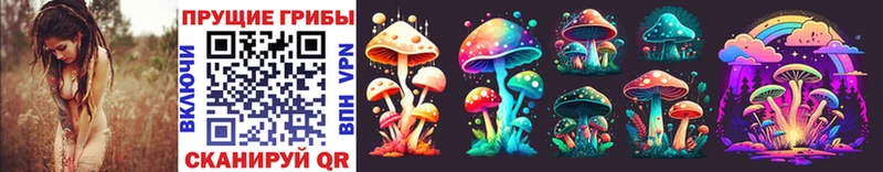 kraken ONION  Старица  Псилоцибиновые грибы Magic Shrooms  цена наркотик 